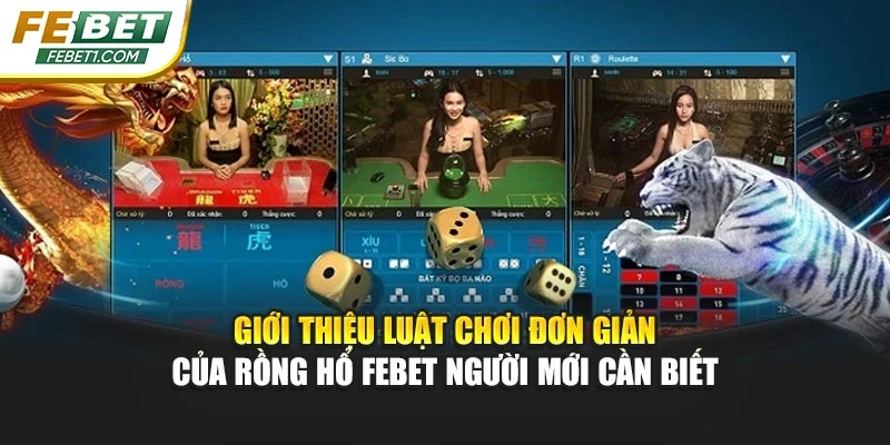 Giới thiệu luật chơi đơn giản của rồng hổ FEBET người mới cần biết